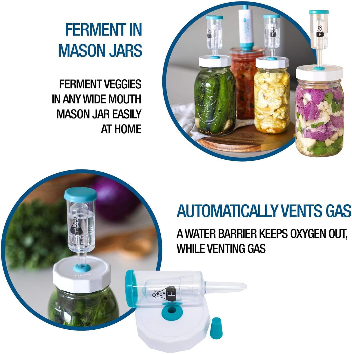 Fermentacijos sklendės siaurakakliams (70 mm) stiklainiams FERMENTOLOGY (4 vnt)