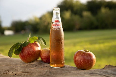 Apple Soda MUNDET, 355 ml